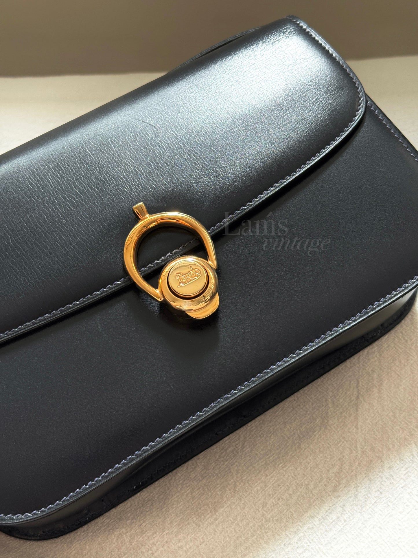 Vintage Celine horse carriage box bag🌞
