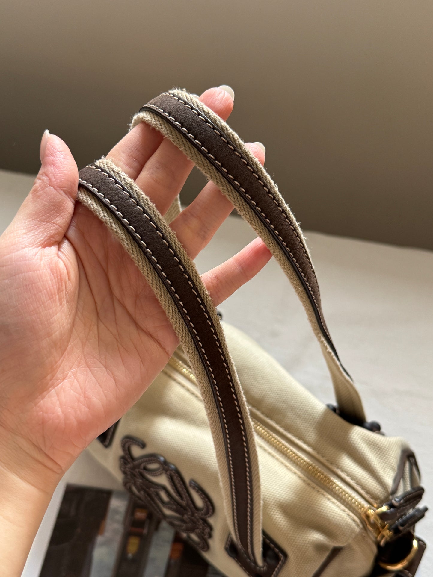 Vintage Loewe canvas leather 2-way